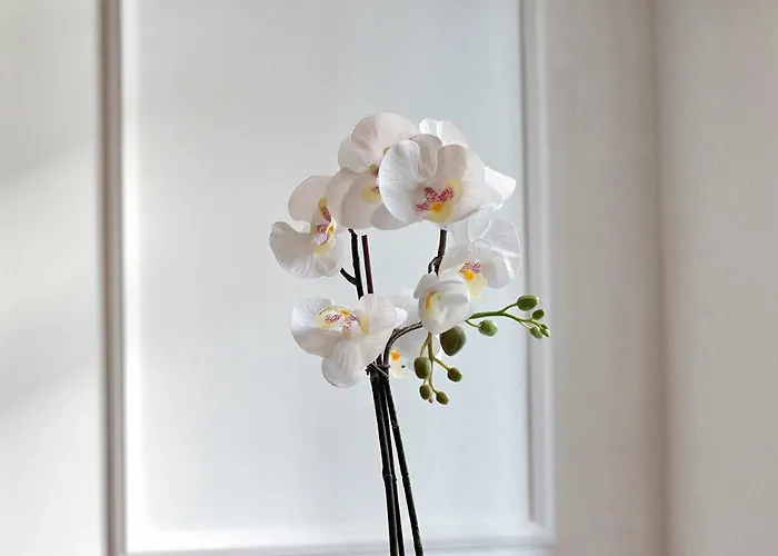 아파트 Gran Via Luxury 3br
